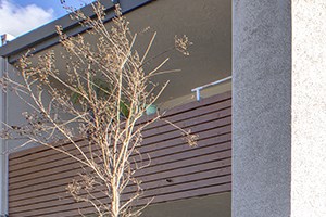 Exterior of Building l Terra Fremont Apartments in Fremont Ca